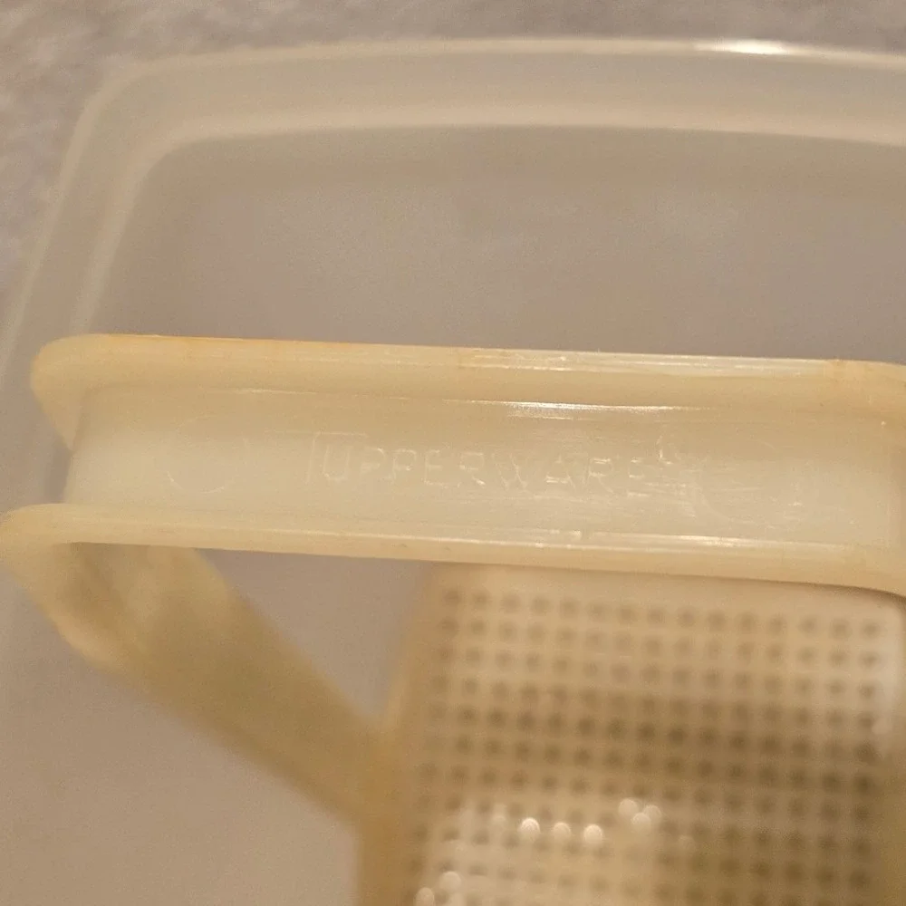 Vintage Tupperware Pick-A-Deli Pickle Lifter Container Blue 1560-2 Sheer White